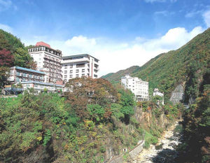 老神溫泉 老神溫泉