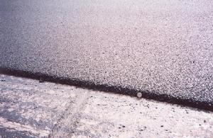 膠質貫漿 膠質貫漿