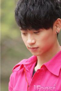 向日葵的微笑 向日葵的微笑