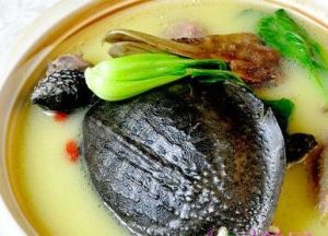 清燉烏龜 清燉烏龜