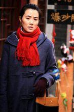 姜宏波在《小胡同大尊嚴》中飾演家庭主婦