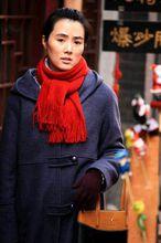 姜宏波在《小胡同大尊嚴》中飾演家庭主婦