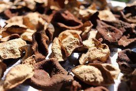 新會陳皮 新會陳皮