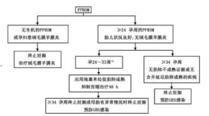 產科診斷和處理 產科診斷和處理