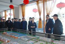 大楊樹鎮城鎮建設