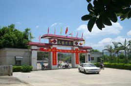 大安中學 大安中學