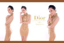 袁婧怡成熟氣質寫真