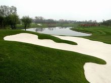 南戴河森林國際高爾夫俱樂部