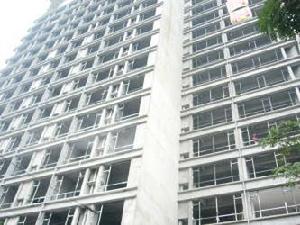 金葉·SOLO 金葉·SOLO