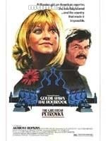 《傻妹闖情關》 《傻妹闖情關》