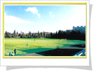 文山師範高等專科學校