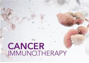 CAR-T細胞 CAR-T細胞