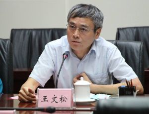 王文松[合肥新站高新技術產業開發區管委會主任]