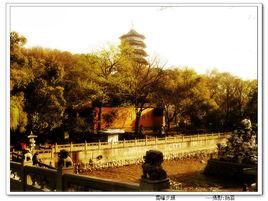 雷峰夕照[雷峰塔]