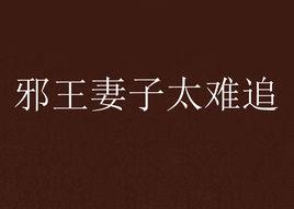 邪王妻子太難追