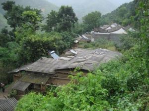 樹林村[雲南省曲靖會澤縣下轄村]