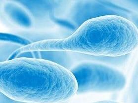 精子不液化 精子不液化