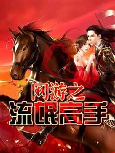 網遊之流氓高手 網遊之流氓高手