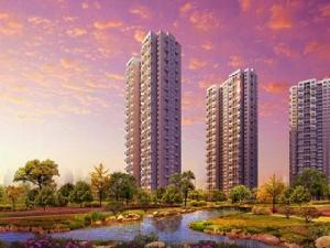 金偉上觀 金偉上觀