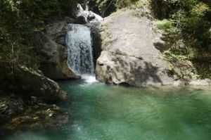 廣東龍門南崑山省級自然保護區