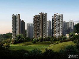 龍崗振業巒山谷 龍崗振業巒山谷