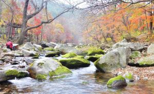 大地森林公園 大地森林公園