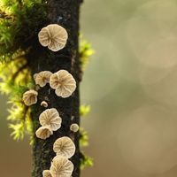 尤物移人 尤物移人