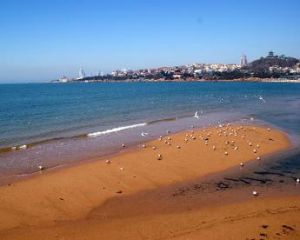 青島金沙灘 青島金沙灘