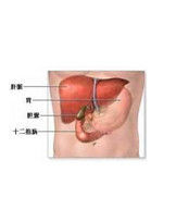 慢性膽囊炎 慢性膽囊炎