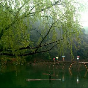 春雨[漢語詞語]