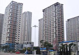 藍山國際 藍山國際