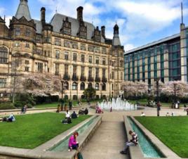 謝菲爾德[英國城市]