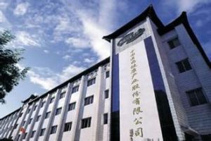 中國醫藥保健品股份有限公司 中國醫藥保健品股份有限公司