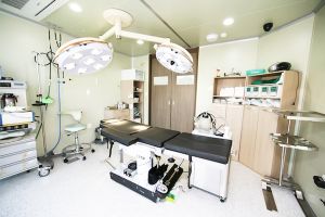 整容外科 整容外科