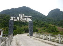 茂蘭景區 茂蘭景區