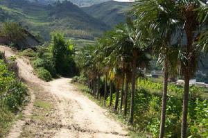 上有自然村 上有自然村