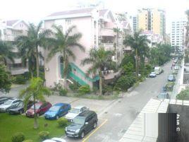 金菊花小區 金菊花小區