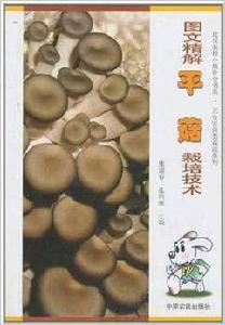 圖文精解平茹栽培技術 圖文精解平茹栽培技術