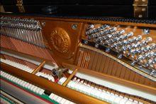 海倫120SE 08紀念版