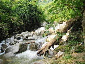 飛水寨南國天山大草原 飛水寨南國天山大草原