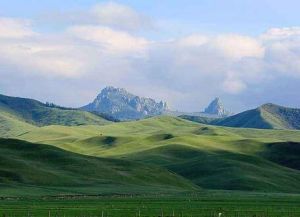 高山草場 高山草場