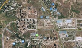 中德茵萊國際 中德茵萊國際