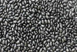 小黑芸豆 小黑芸豆