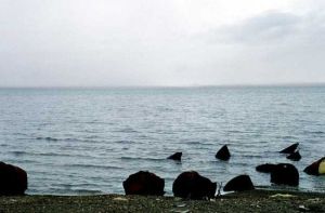 鯨魚湖地區 鯨魚湖地區