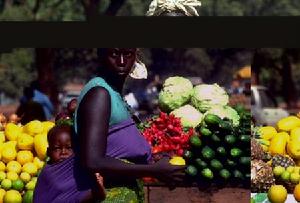 摩爾人婚俗 摩爾人婚俗