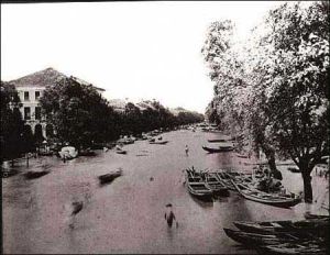  1954年長江特大洪水