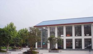 重慶青年職業技術學院