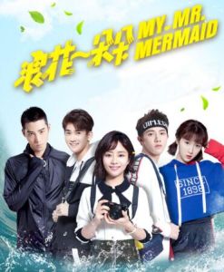 浪花一朵朵[2016年芒果影視出品電視劇]