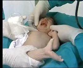 人魚寶寶 人魚寶寶