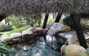 寧鄉灰湯紫龍灣溫泉度假區 寧鄉灰湯紫龍灣溫泉度假區